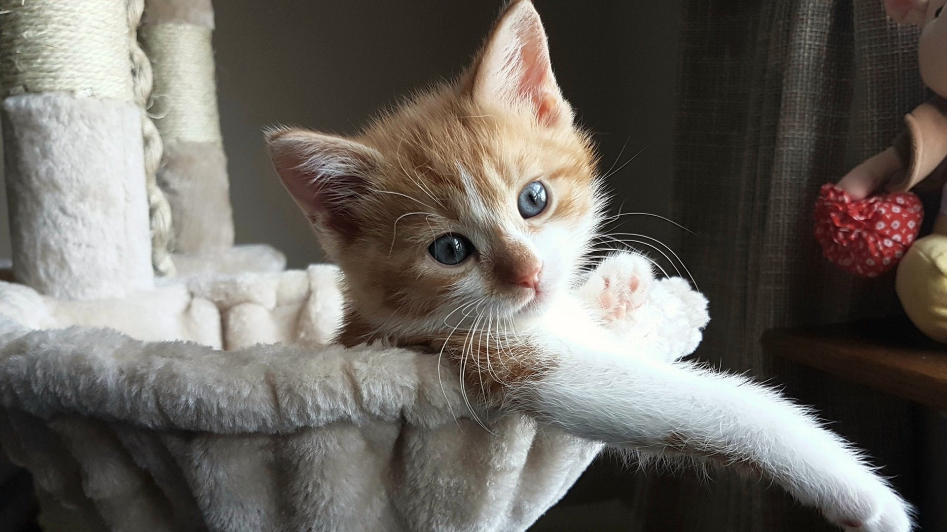 kaiyun.com-“篮球历史上最震撼的五大经典逆转”，nba逆袭的篮球巨星