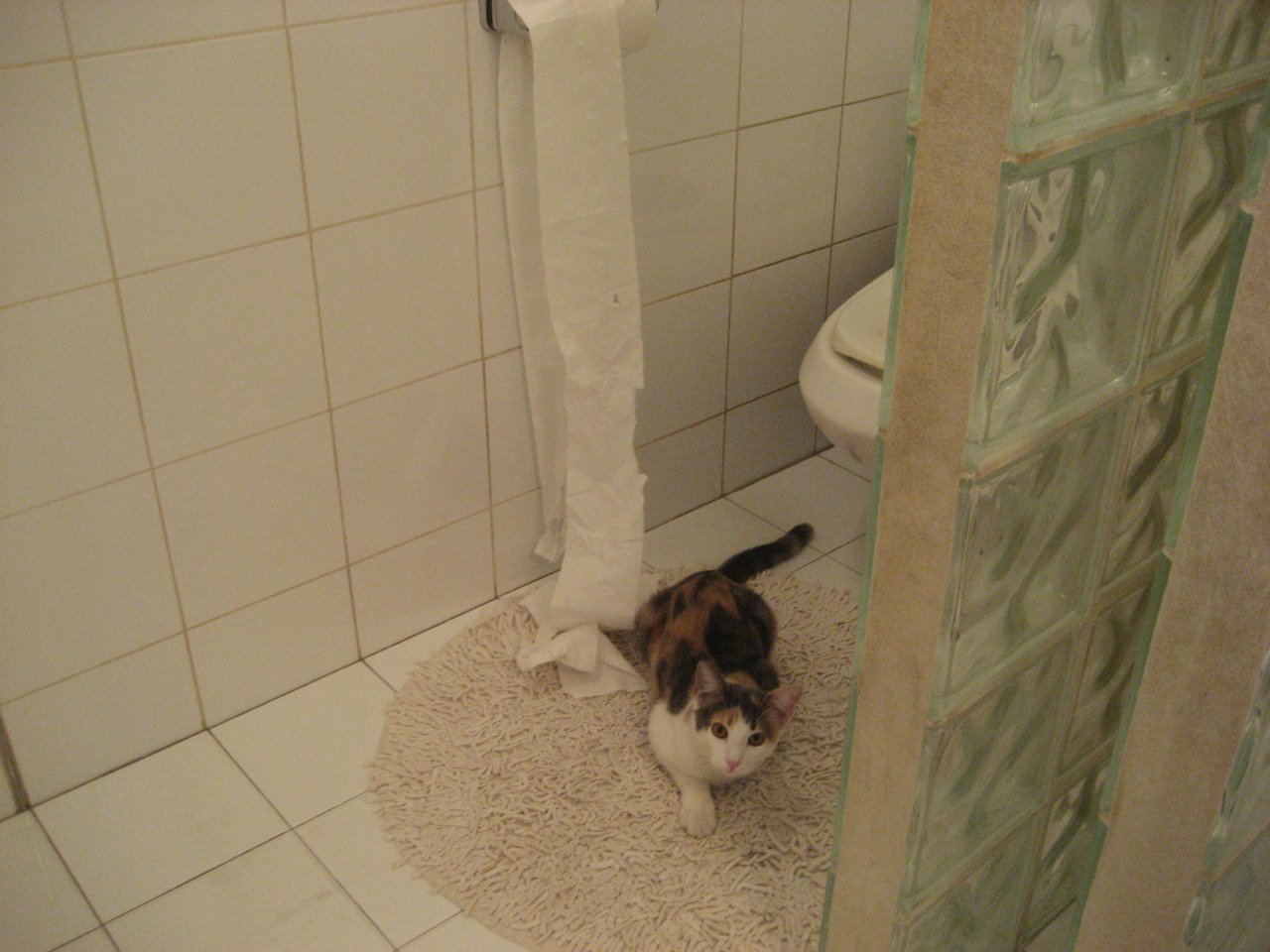 kaiyun-“足球+旅游”新业态在全国多地实施，推动区域经济高质量发展，旅游新业态的表现形式