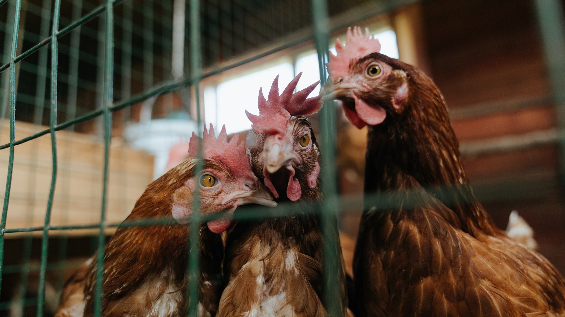 开云下载-《带动地方经济：电竞赛事成为城市新名片》，带动一个地方的经济