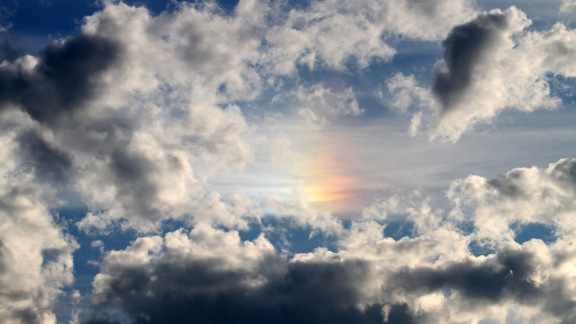 开云·体育官网APP下载-以“体育+科技”为核心的多场特色篮球交流活动举行，体育比赛中的科技