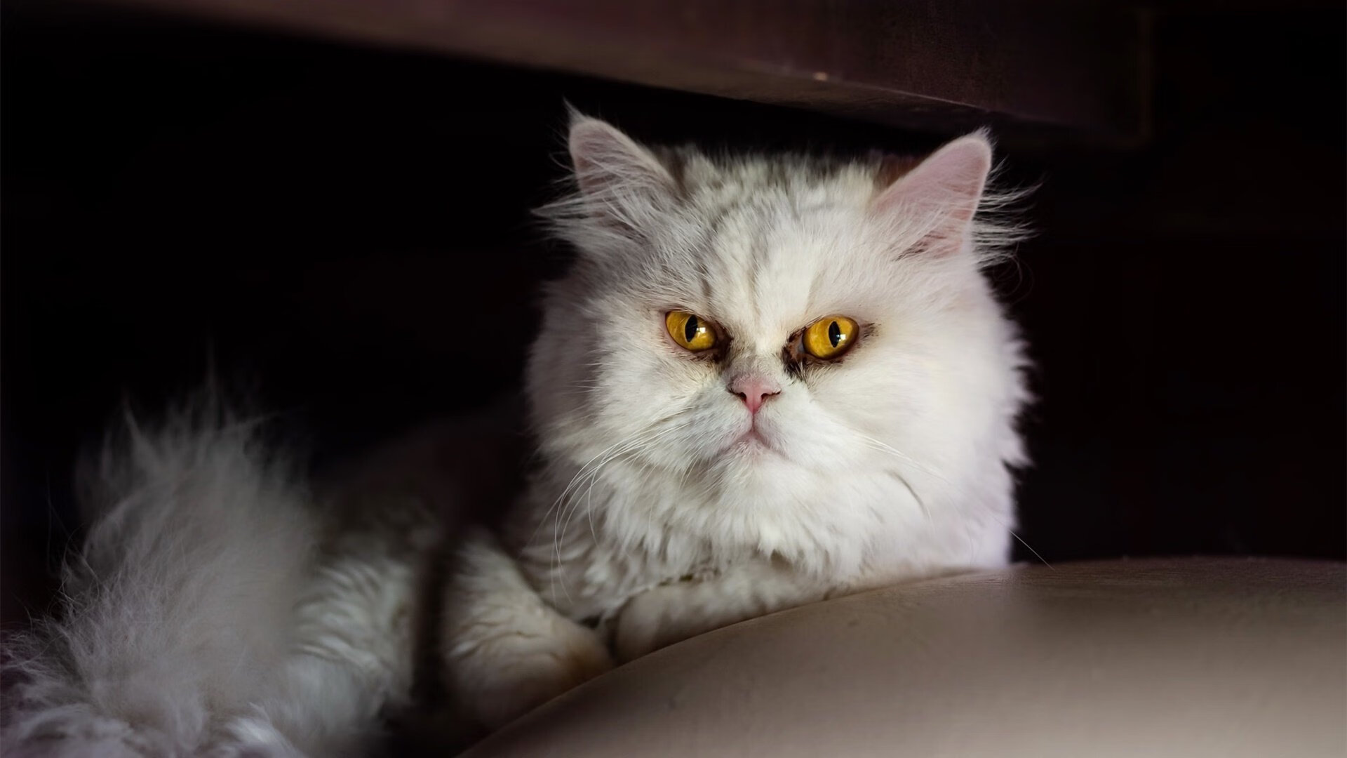 kaiyun中国官方网站-全景回顾：联盟历史上最震撼的逆转战役，英雄联盟之反转历史