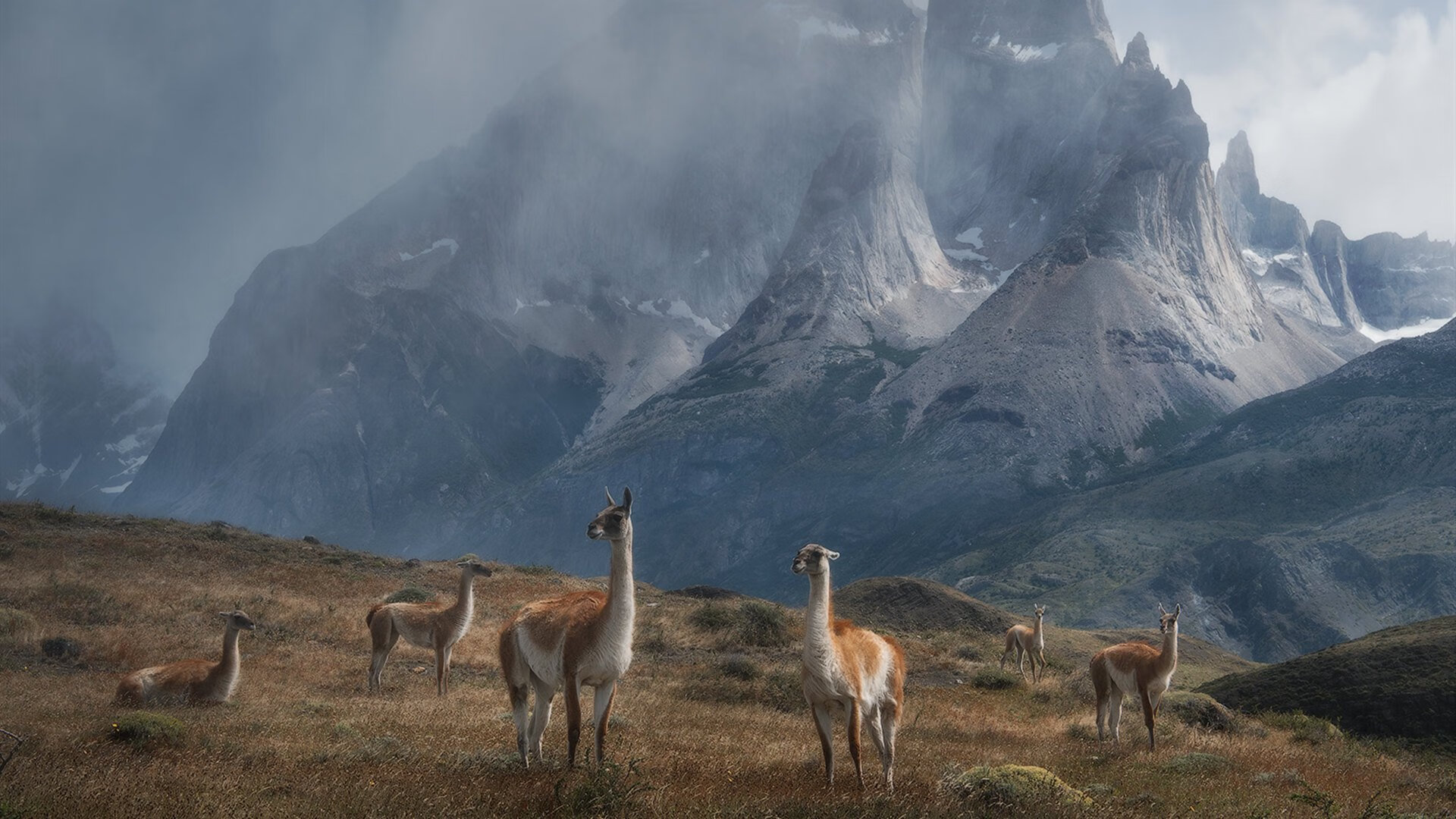 Kaiyun(中国)开云-全力奋战：新疆选手无畏反击获胜，无畏最近比赛