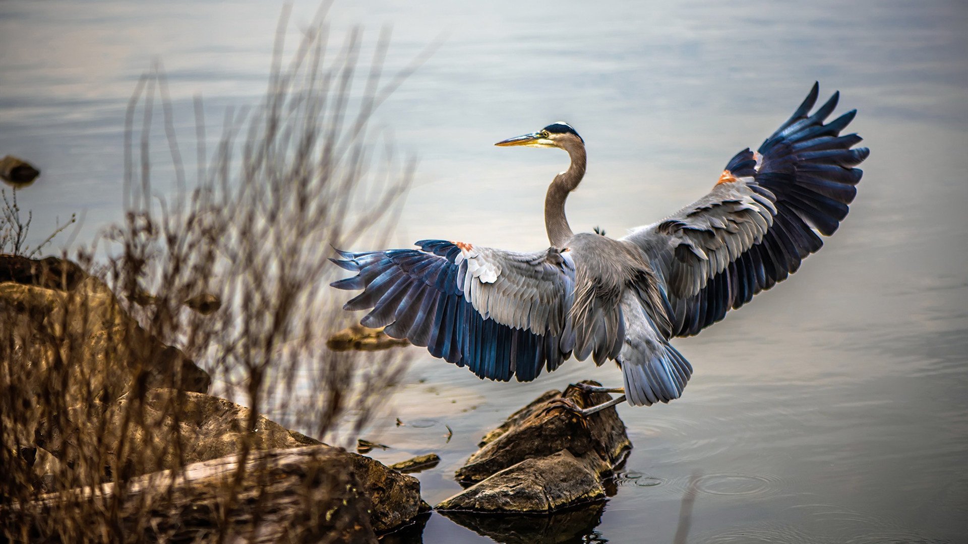 KAIYUNAPP-斯图加特后场稳固保护门将不受威胁，斯图加特0607