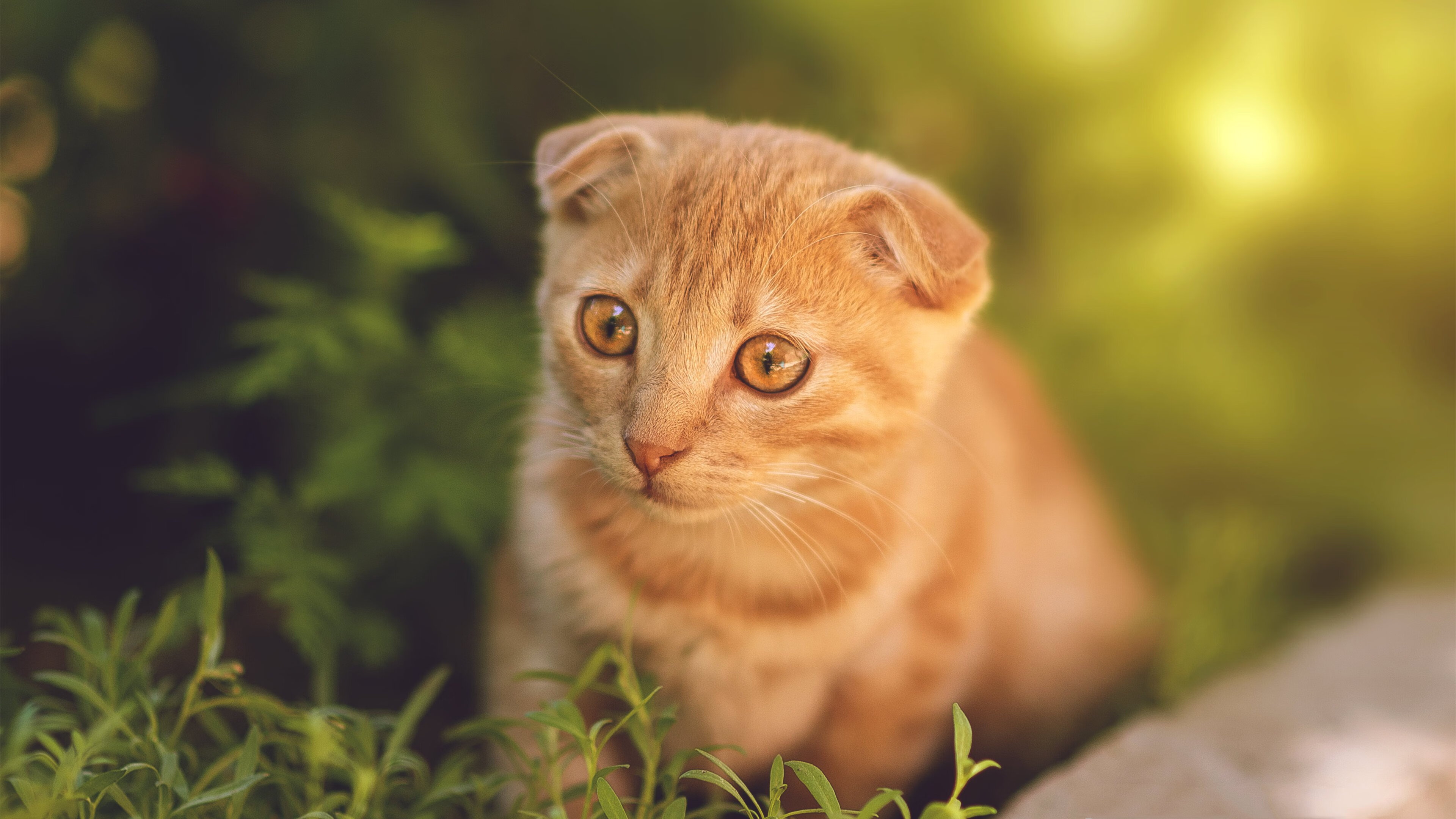 开云全站-青少年选拔模式存在年龄焦虑问题，青少年选择奖