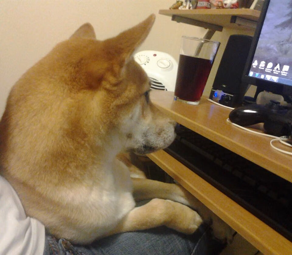 巴尔：凭借出色的防守意识和球场阅读能力，他是全黑队的防守中坚