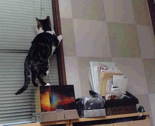 开云中国-巴雷特：全黑队的“战术核心”，用智慧引领进攻潮流