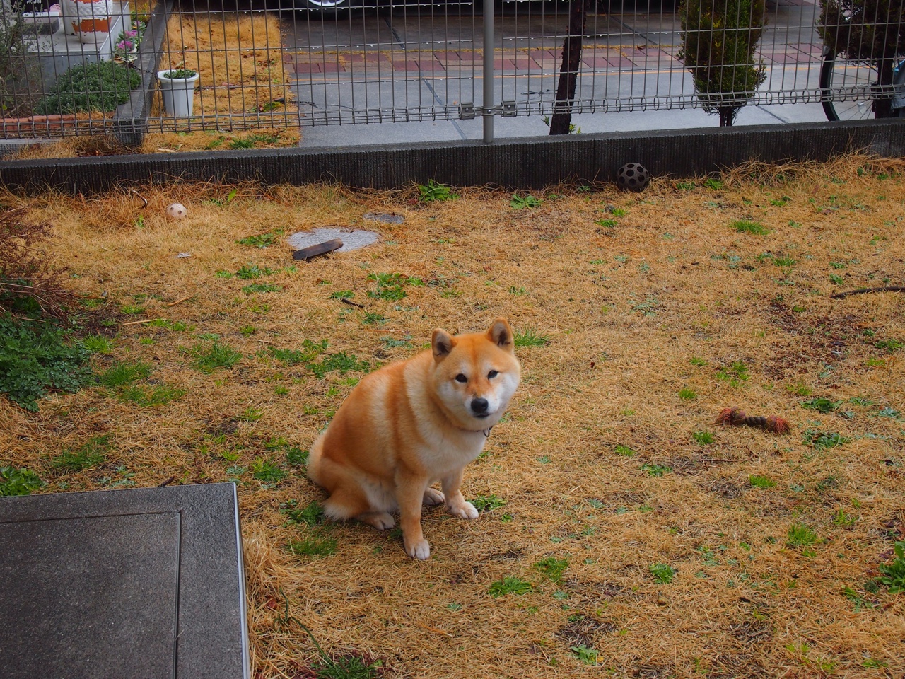 kaiyun.com-新西兰全黑队的球员技术全面，迅速适应对方战术变化，新西兰全黑队队员介绍